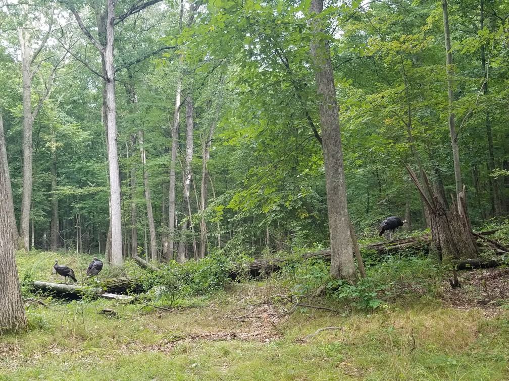 1003 Holden Ave #HOME - Photo 2 of 5