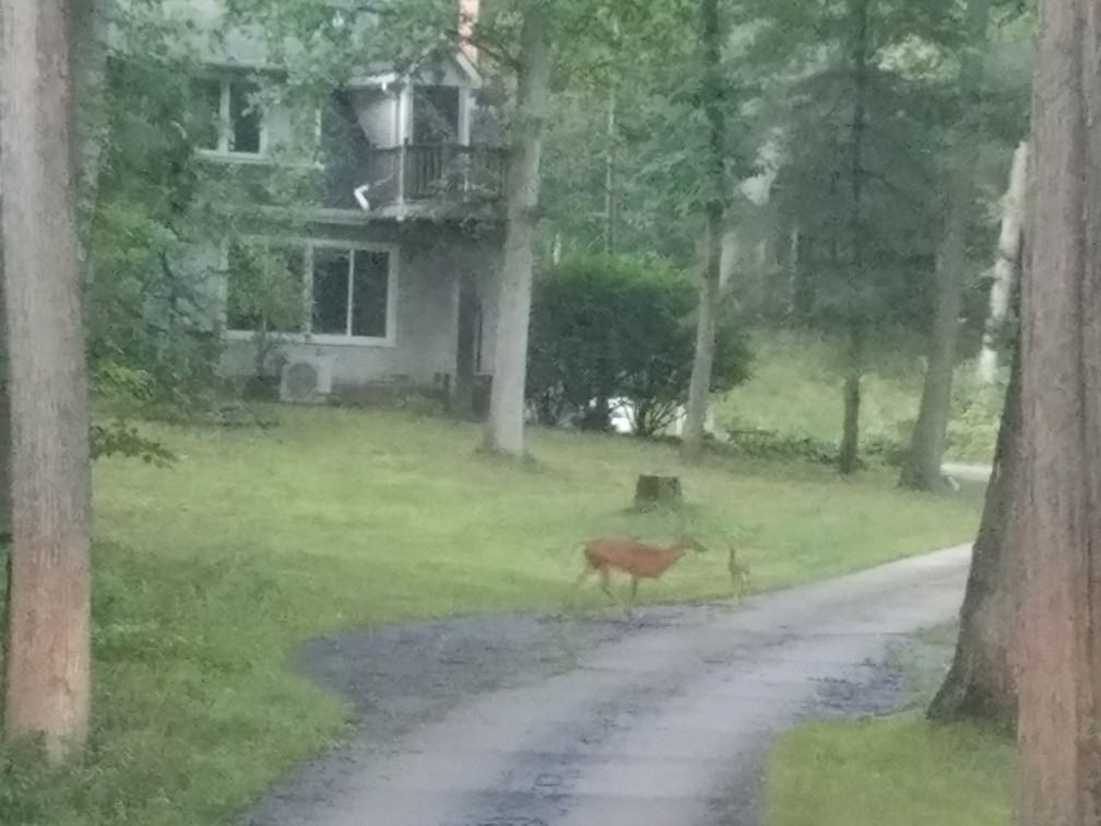 1003 Holden Ave #HOME - Photo 3 of 5