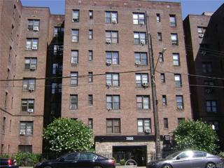 4 Page Avenue 1g Yonkers Ny 10704 2 Bedroom Apartment For