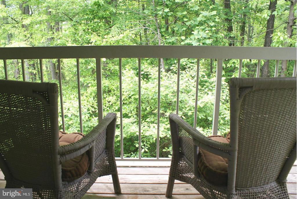 5803 Orchard Hill Ct - Photo 2 of 12