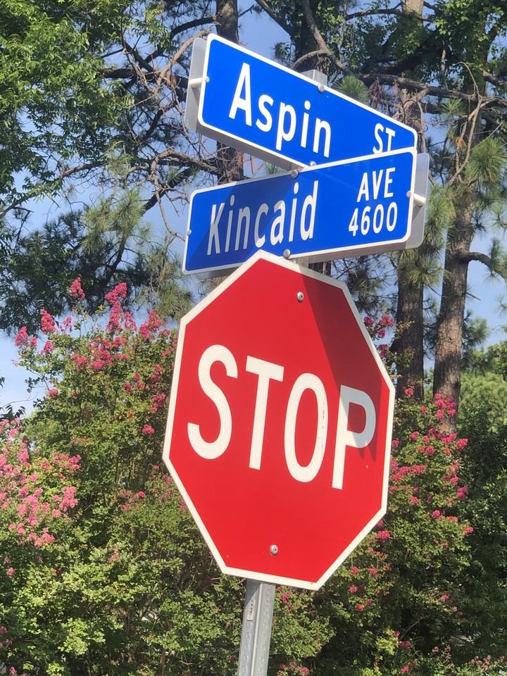 1559 Aspin St - Photo 2 of 2