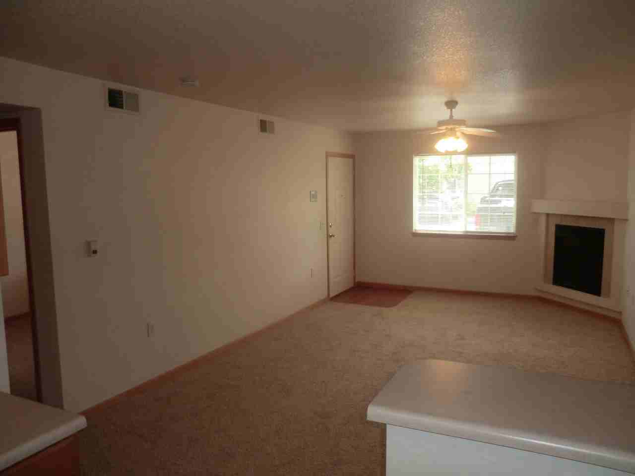 1221 University Ave - Photo 3 of 24