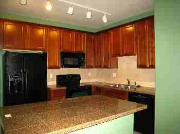 15460 Canyon Gulch Lane #205