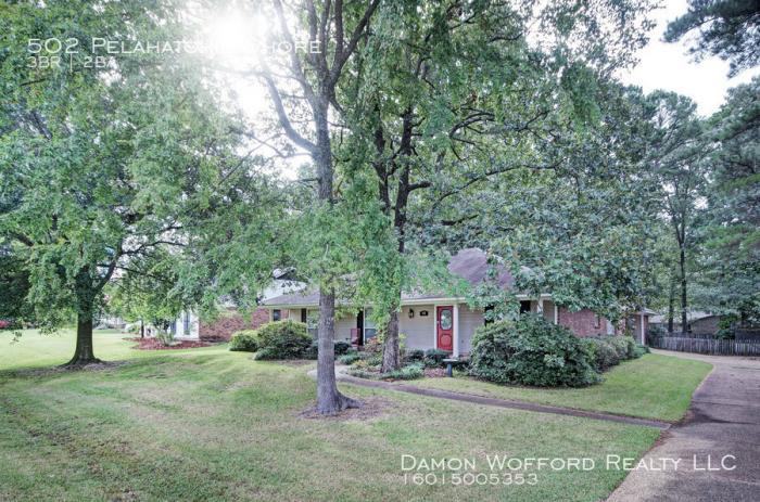 502 Pelahatchie Shore - Photo 2 of 27