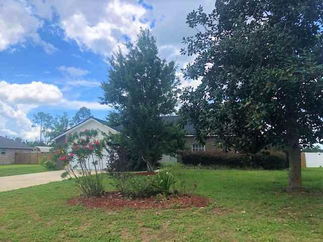 224 White Oaks Blvd - Photo 3 of 15