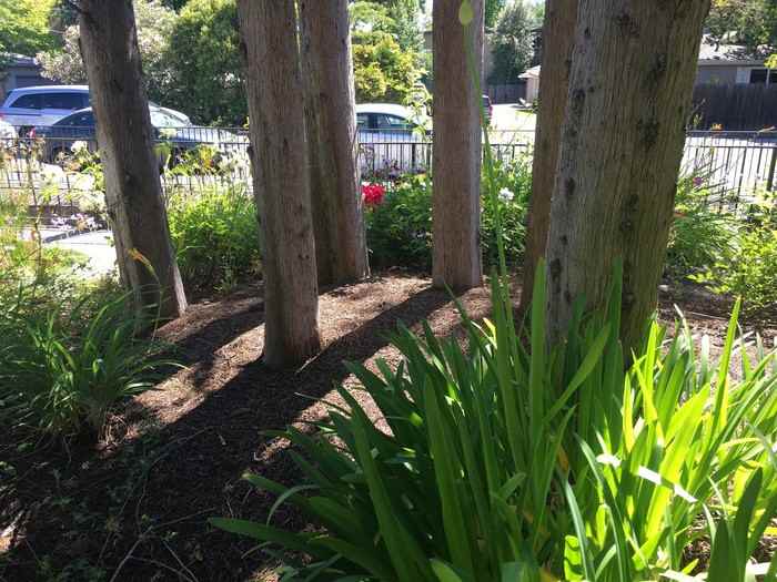 2736 Walnut Boulevard - Photo 3 of 22