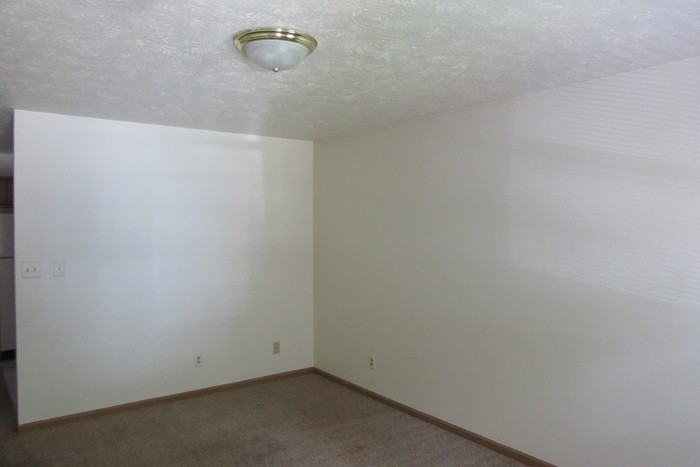 313 Thomas Ave - Photo 2 of 12