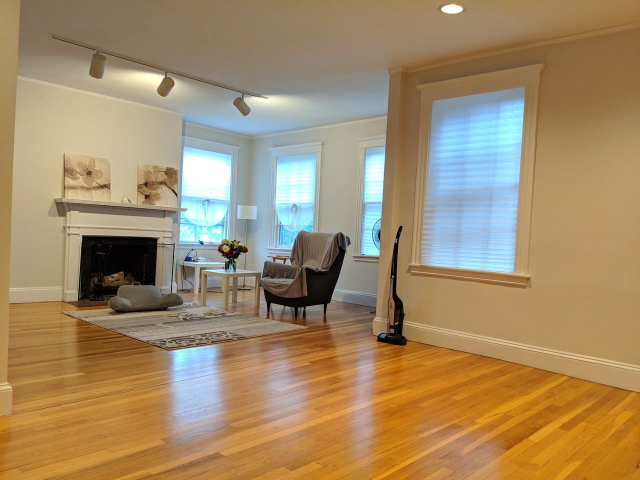 43 Linnaean Street #45