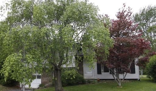 8757 Laconia Dr - Photo 2 of 17