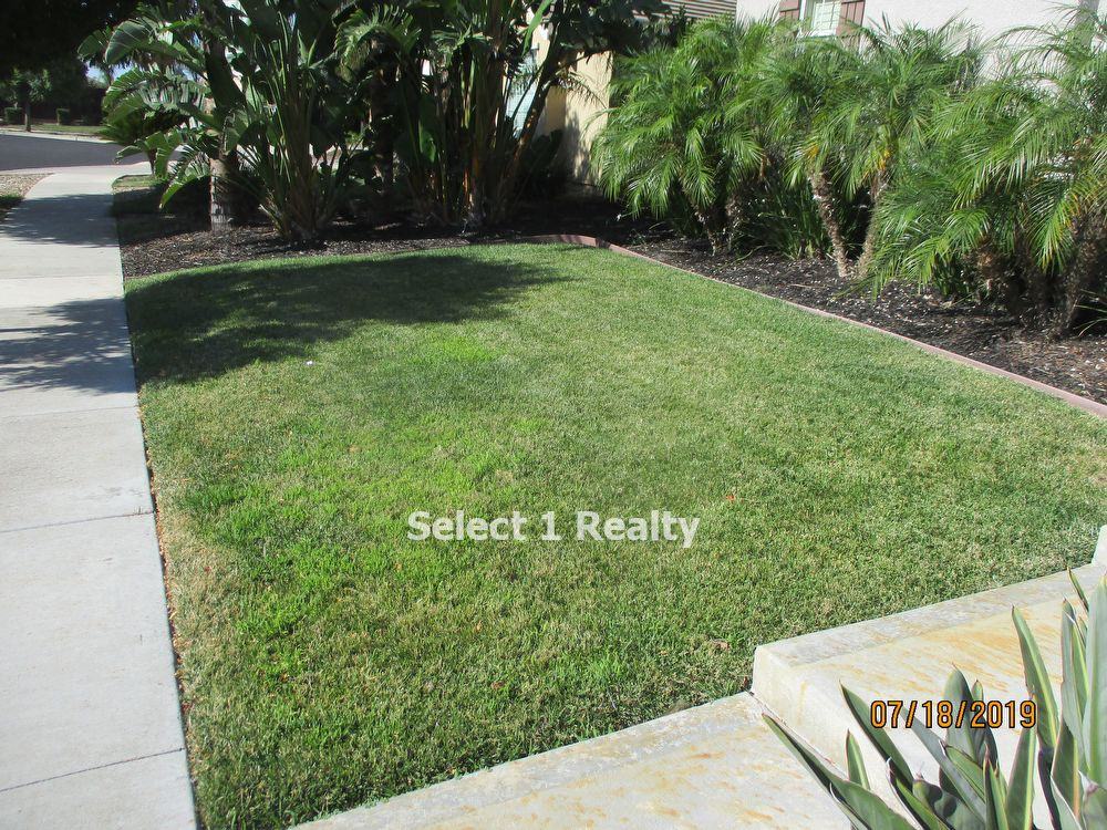 2265 Star Lily Court - Photo 3 of 38