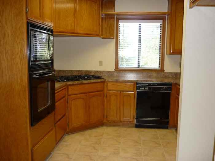 3731 Gold Ridge Trail - Photo 3 of 12