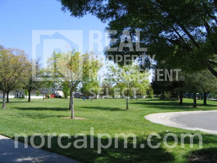 4923 Shady Leaf Way - Photo 3 of 15