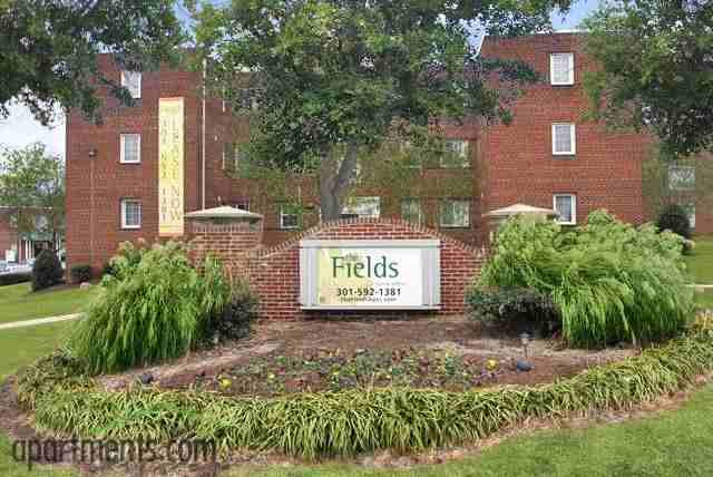 The Fields of Silver Spring - Photo 3 of 10