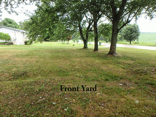 1064 Short Mountain Rd - Photo 3 of 22