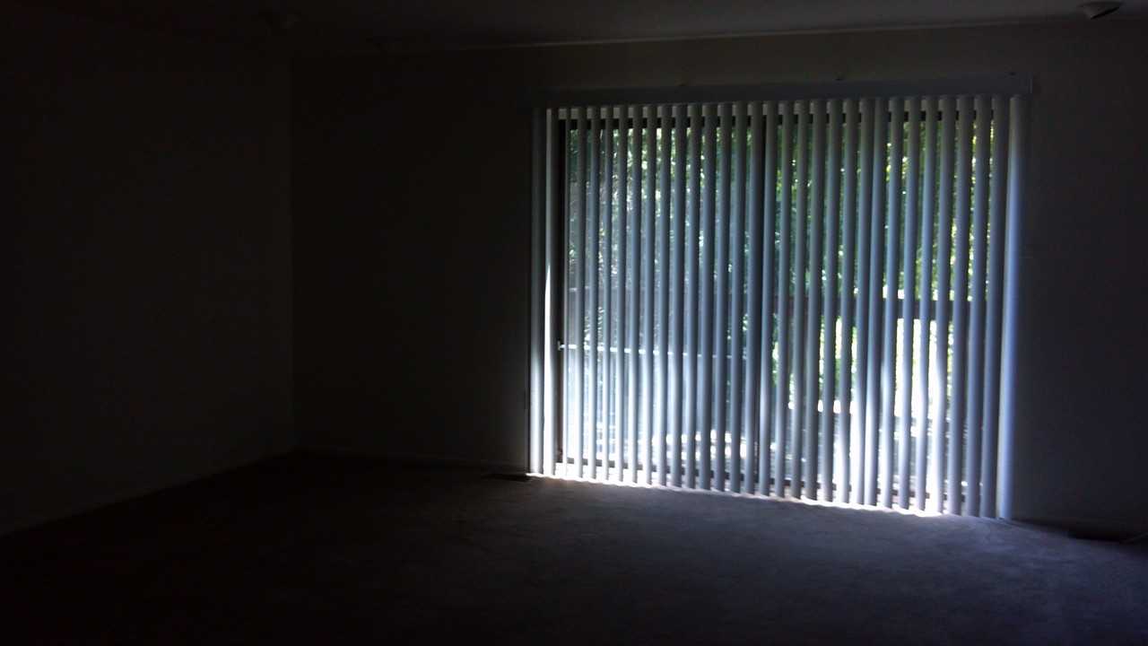 7138 Winter Rose Path - Photo 3 of 10