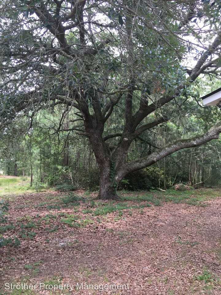 6405 Cedar Creek Rd - Photo 2 of 17