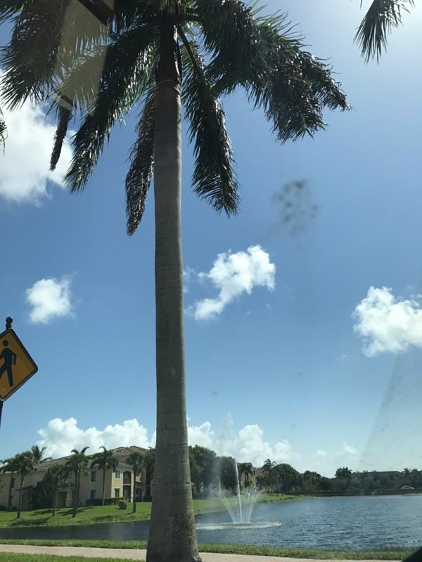 2804 Sarento Pl - Photo 2 of 3