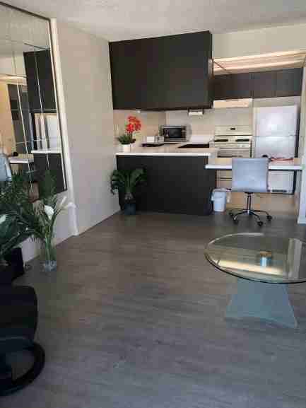 475 Atkinson Drive #1508