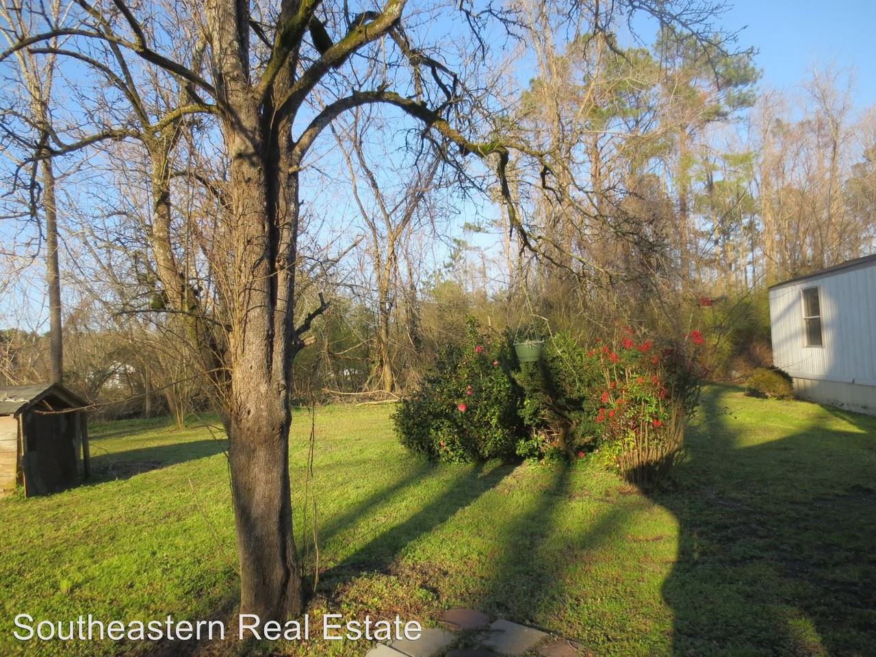 121 Hattie Bass Lane - Photo 3 of 13