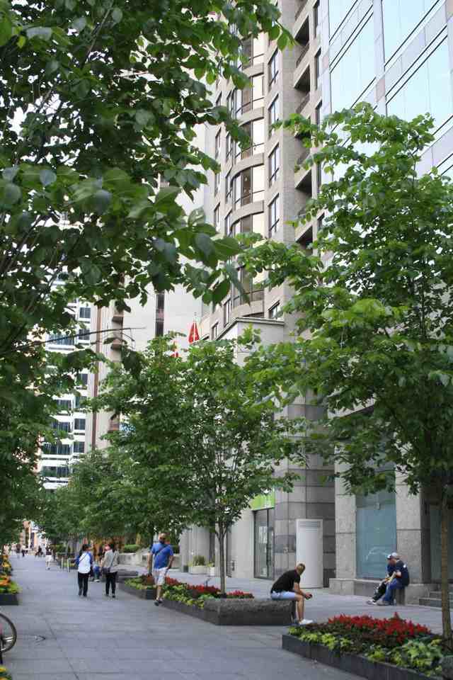 Signatures on Bloor - Photo 2 of 19