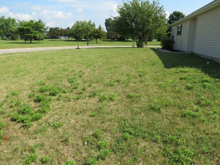 3902 Boyer Ridge Drive - Photo 3 of 21