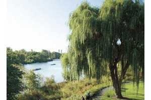 Rivers Edge - Photo 2 of 17