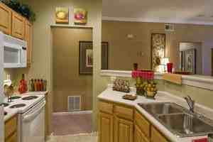 Summer Chase - Photo 3 of 7