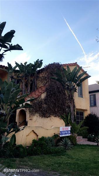 1455 S Bedford St - Photo 2 of 15