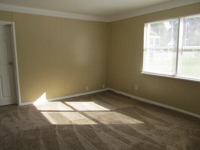 1321 W Rambla St - Photo 3 of 12