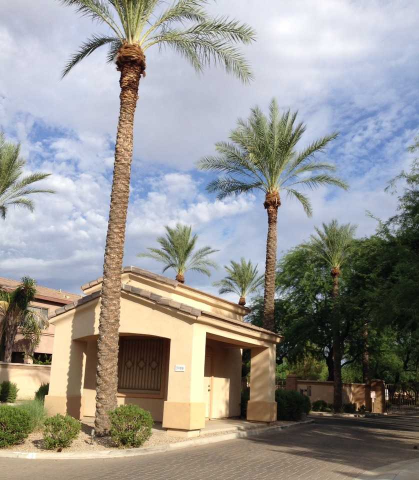 1949 W Olive Way - Photo 3 of 19