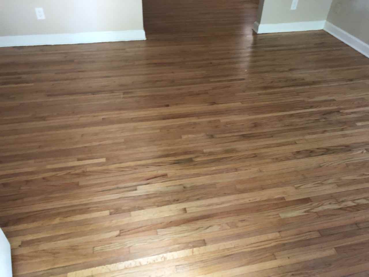 2812 W Lake Shore Dr - Photo 2 of 8