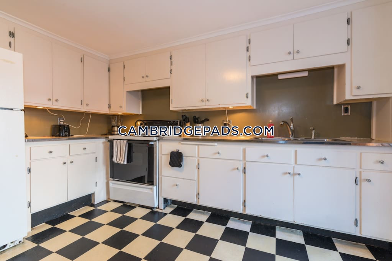 199 Mount Auburn Street - Photo 3 of 8