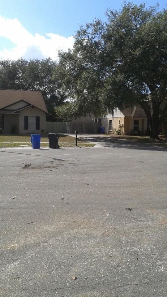 3206 Thorn Court - Photo 3 of 24