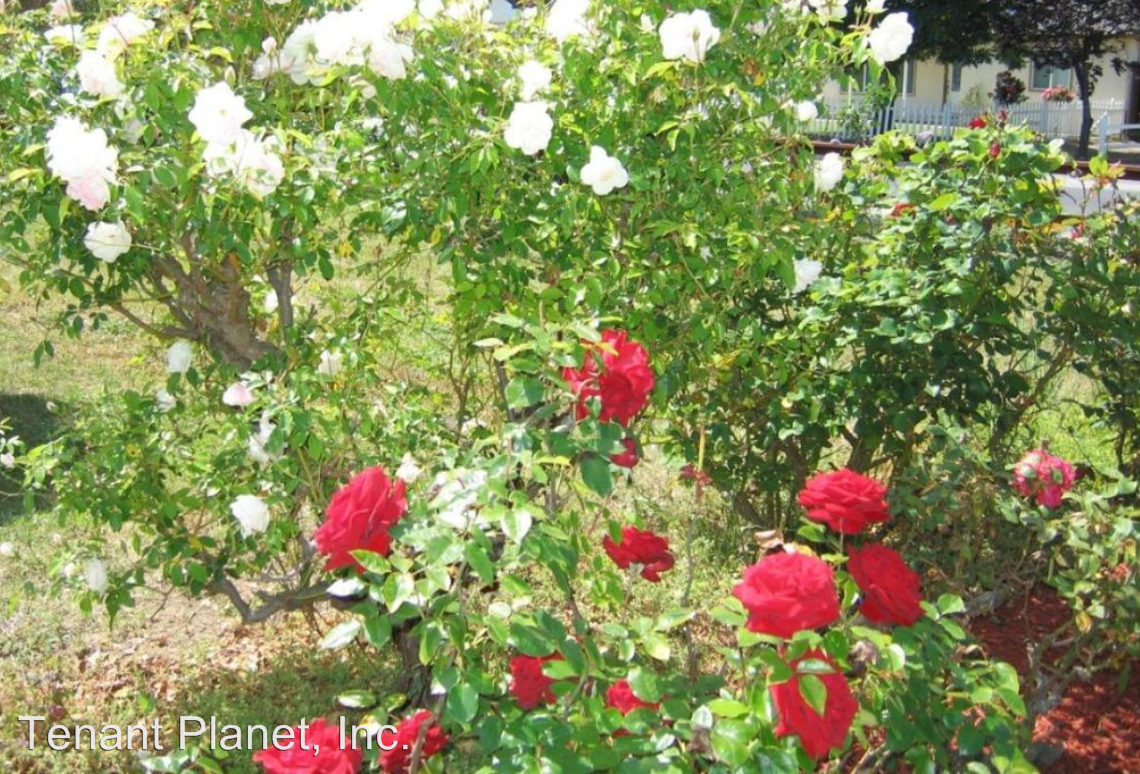 636 Kenneth Ave - Photo 3 of 11