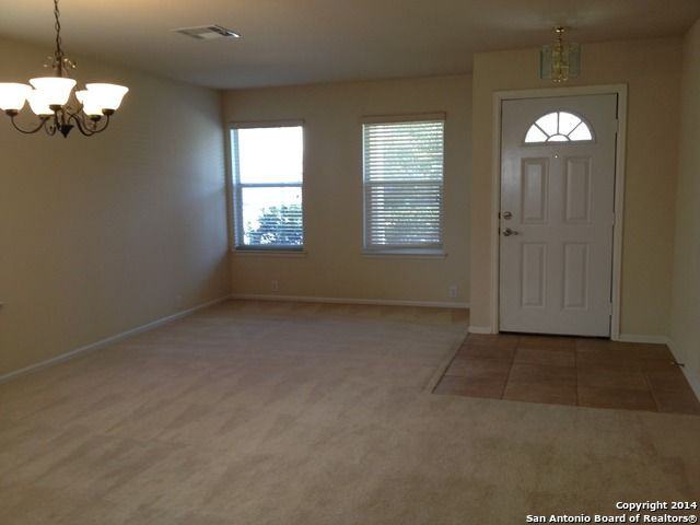 14219 Purple Martin - Photo 2 of 24