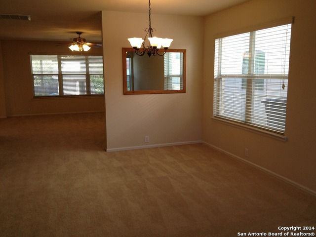 14219 Purple Martin - Photo 3 of 24