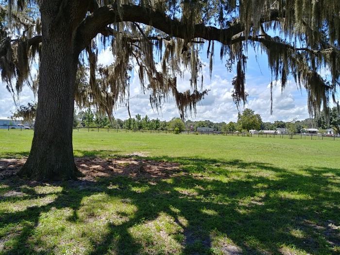 298 Northeast 189 Lane - Photo 3 of 23