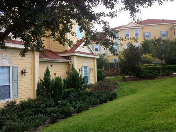 Female Roommate wanted for spacious and luxurious 2/2 - Photo 2 of 4