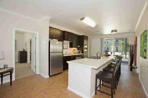 SOLD OUT large room in a 4 bedroom Ramble Apartment close to campus includes $500 AMEX gift card!! - Photo 3 of 4