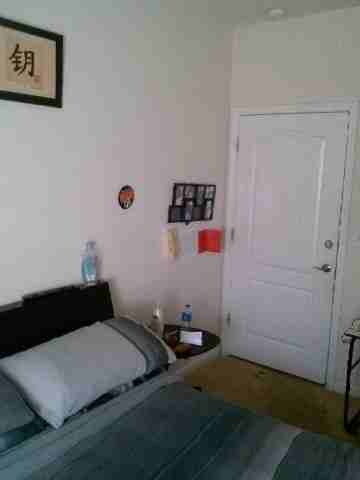 Subleasing my 1 bedroom apartment - Photo 3 of 3