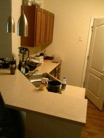 Subleasing my 1 bedroom apartment - Photo 2 of 3