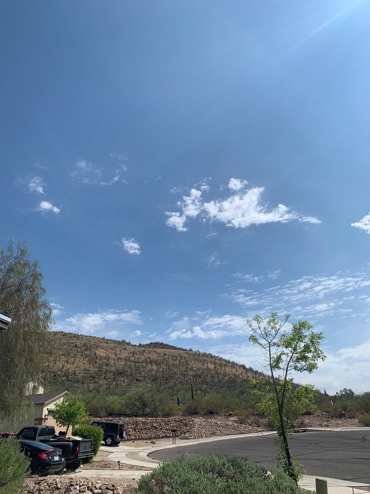 1370 S San Ricardo Ct - Photo 3 of 22