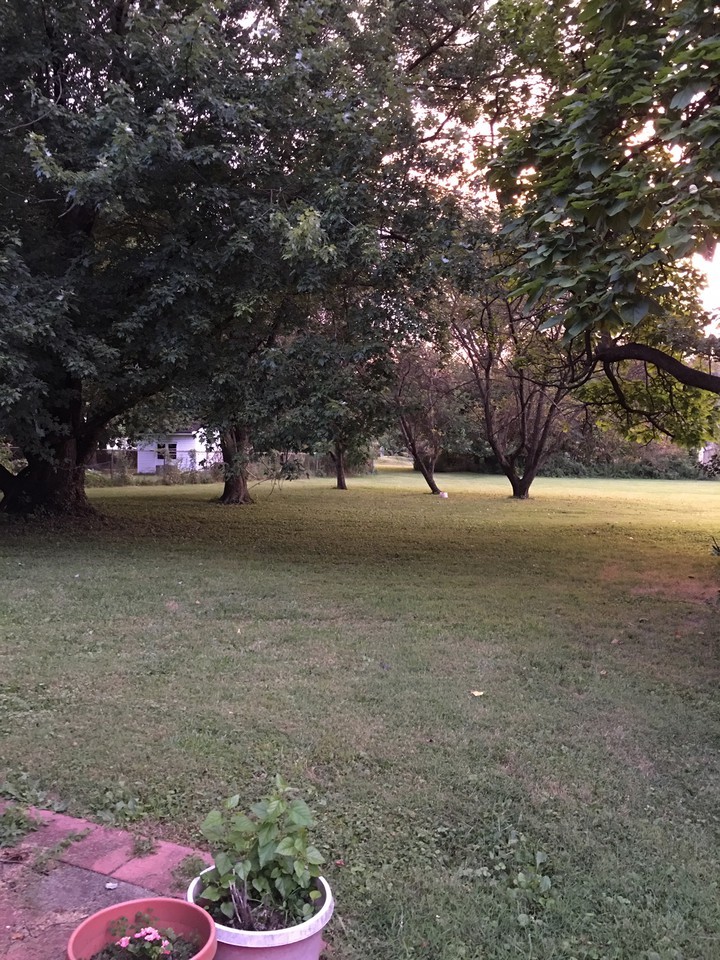 191 Perry Ave - Photo 2 of 4