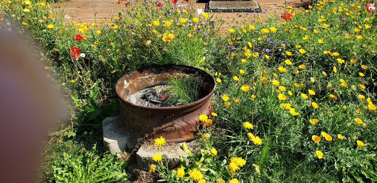 3156 E Badger Rd Lot Adj - Photo 3 of 21