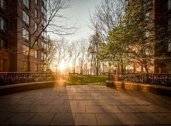 Riverwatch - Photo 3 of 13