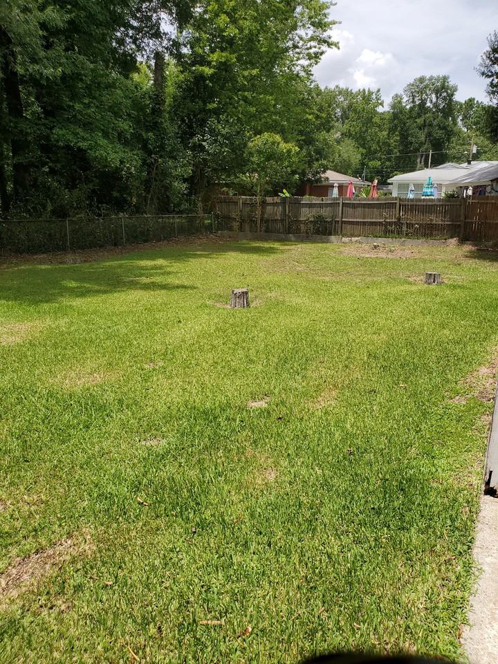 3945 Singer Dr - Photo 3 of 13