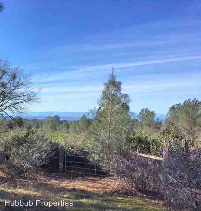 7718 Camino Oro - Photo 3 of 19