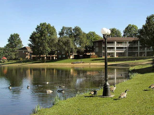 King Apartments LTD @ Shorline Beach Club - Photo 2 of 9