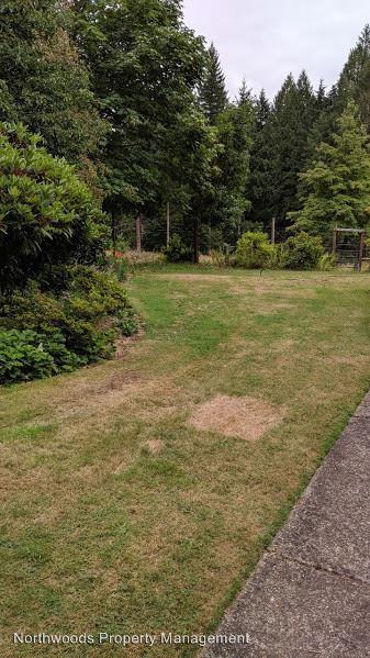 36692 Parsons Creek Road - Photo 3 of 16