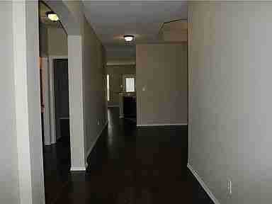 9852 Tanglebrush Dr - Photo 3 of 18